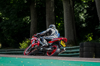 cadwell-no-limits-trackday;cadwell-park;cadwell-park-photographs;cadwell-trackday-photographs;enduro-digital-images;event-digital-images;eventdigitalimages;no-limits-trackdays;peter-wileman-photography;racing-digital-images;trackday-digital-images;trackday-photos